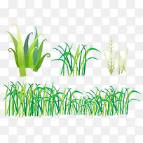 ����С��-������