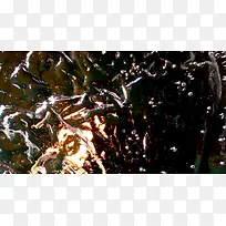 ������ɫ����-������