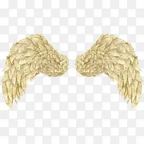 棕色漂亮翅膀-空若网 棕色漂亮翅膀-空若网