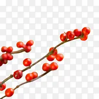 ����ľ-������