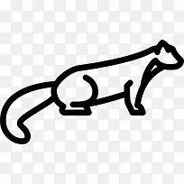 Marten ͼ��-������