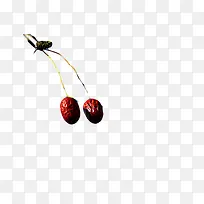 树枝红枣-空若网 树枝红枣-空若网