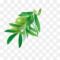 树叶-空若网 树叶-空若网