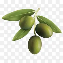 卡通清新枣树树枝-空若网 卡通清新枣树树枝-空若网