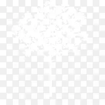 白色小树-空若网 白色小树-空若网