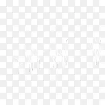 小树-空若网 小树-空若网