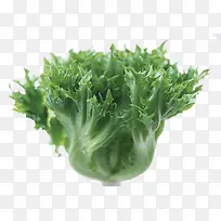 一颗青菜-空若网 一颗青菜-空若网