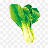 һ���Ͳ�-������