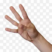 伸直的手指-空若网 伸直的手指-空若网