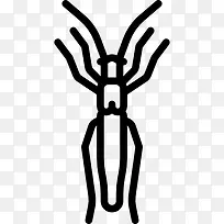 码头蛀虫图标-空若网 码头蛀虫图标-空若网