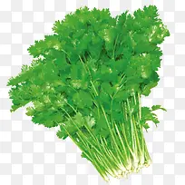 �������-������