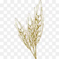 水稻装饰设计矢量-空若网 水稻装饰设计矢量-空若网