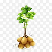 矢量蔬菜-空若网 矢量蔬菜-空若网