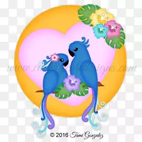 爱鸟艺术-爱情鸟-空若网 爱鸟艺术-爱情鸟-空若网