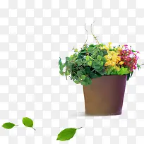 װ���ز� ����-������