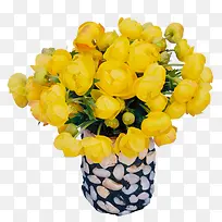 װ���ز� ����-������