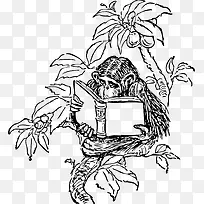 ��֦�϶���ĺ����ֻ�-������