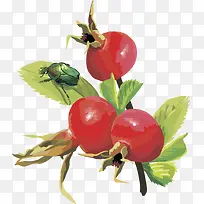 ʸ��ͼˮ��ʯ��-������