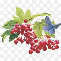 矢量图水果樱桃树莓-空若网 矢量图水果樱桃树莓-空若网