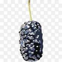 矢量图水果桑葚-空若网 矢量图水果桑葚-空若网