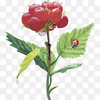 ʸ��ͼˮ��ӣ����ݮ-������