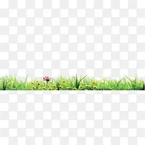 小草-空若网 小草-空若网