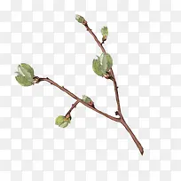 Ò»Ö¦Ê÷Ö¦-¿ÕÈôÍø Ò»Ö¦Ê÷Ö¦-¿ÕÈôÍø