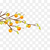 ��ʵ-������