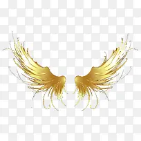 美丽的翅膀-空若网 美丽的翅膀-空若网