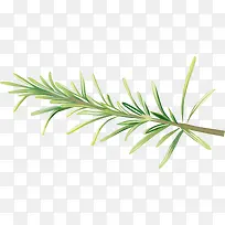 ֲ����ʳ������-������