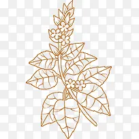 Ҷ�ӻ��ʳ������-������