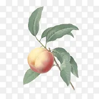 ��֦�ϵ������ֻ�廭-������