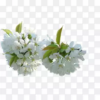 ���ܲ��ͼ�����-����-������