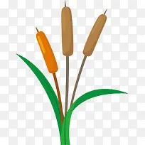 ����ɫ��ͨ����«έ-������