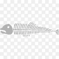 鱼类动画剪辑艺术-死鱼-空若网 鱼类动画剪辑艺术-死鱼-空若网