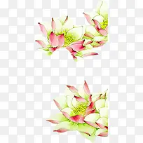 ˮ�ʺɻ���������-������