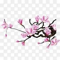 花枝-空若网 花枝-空若网