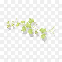 树枝绿叶-空若网 树枝绿叶-空若网