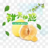 柚子促销海报-空若网 柚子促销海报-空若网