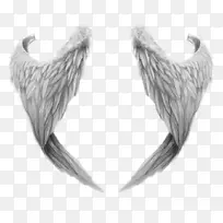 拍打的翅膀-空若网 拍打的翅膀-空若网