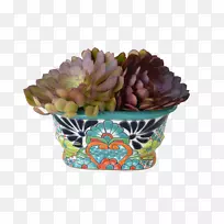 花盆杯烘焙-空若网 花盆杯烘焙-空若网