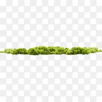 草树形成的小丘-空若网 草树形成的小丘-空若网