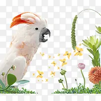 丛林里的鸟-空若网 丛林里的鸟-空若网