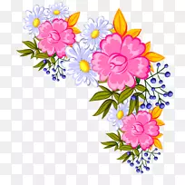 切花-野花-空若网 切花-野花-空若网