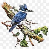 ���ϵ���-������