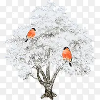 树上的白雪-空若网 树上的白雪-空若网