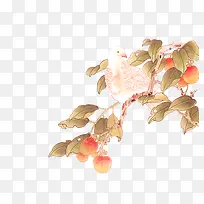 中式手绘免抠素材-空若网 中式手绘免抠素材-空若网