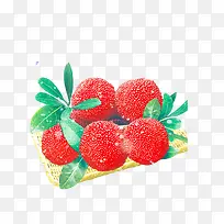 新鲜杨梅-空若网 新鲜杨梅-空若网