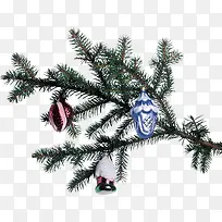 圣诞树树枝图片-空若网 圣诞树树枝图片-空若网