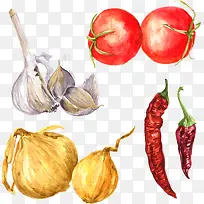 手绘蔬菜-空若网 手绘蔬菜-空若网